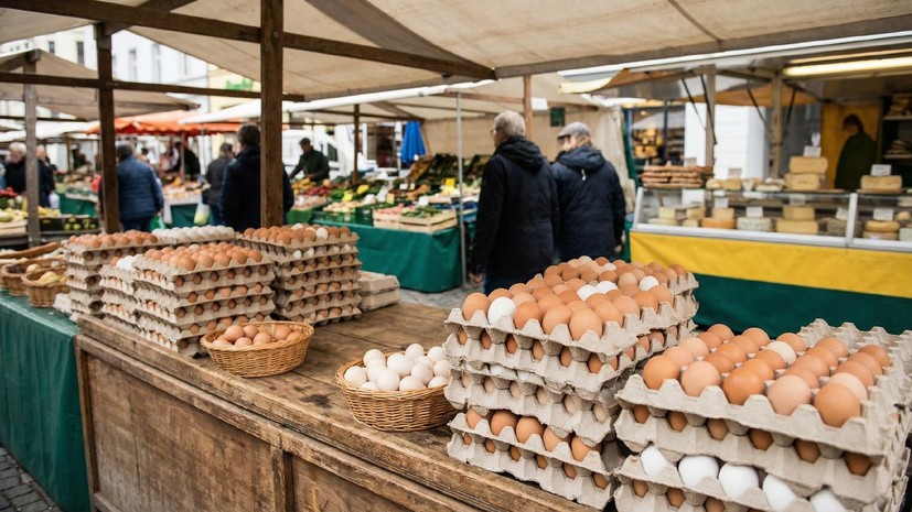 Berliner Zeitung: европейские прилавки заполонили низкосортными яйцами с Украины