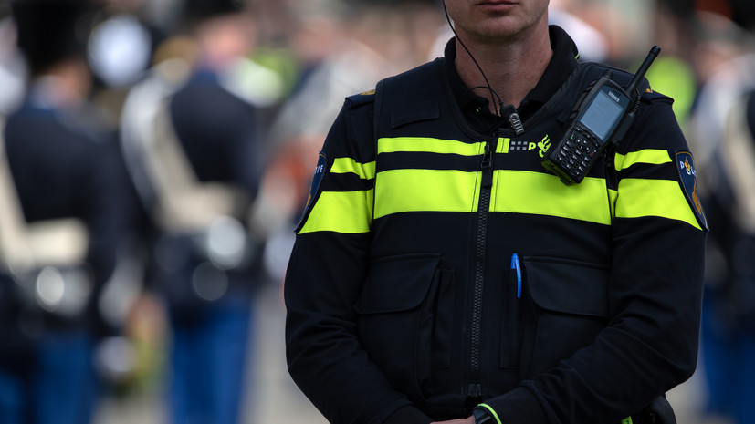 РИА Новости: в Амстердаме прошла демонстрация против тирании ЕС и НАТО