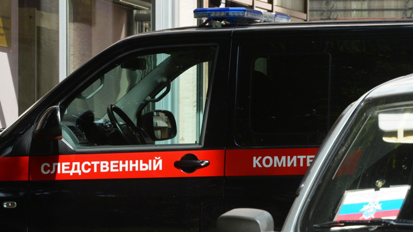 Бастрыкин запросил доклад о нападении собак на ребёнка под Красноярском