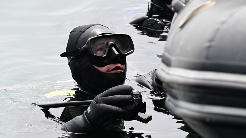 Волонтёры: поиски убитого в Петербурге мальчика остановлены