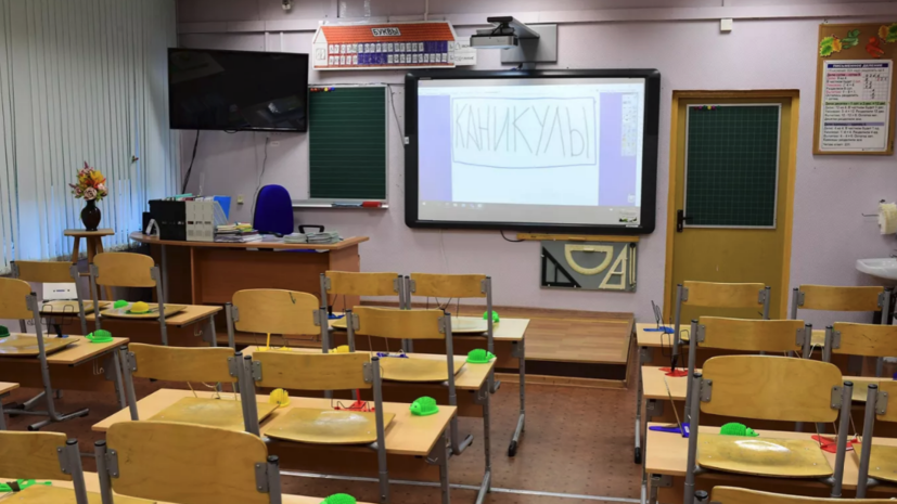 Кравцов: весенние каникулы в школах пройдут с 28 марта по 5 апреля