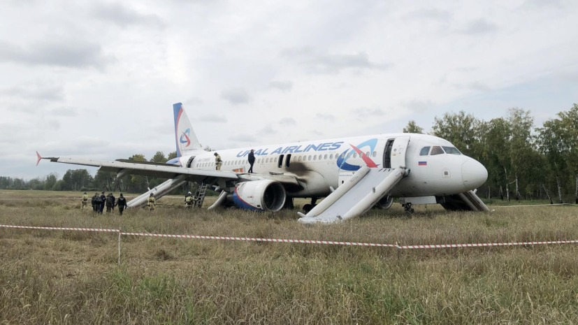 Посадившего на пшеничное поле самолёт пилота Белова позвали работать в Азию