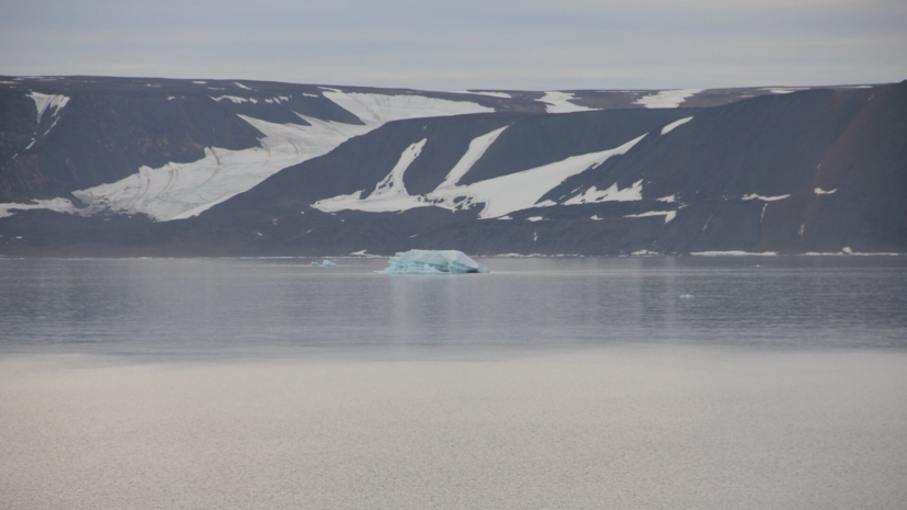 Песков: Россия является арктическим государством в отличие от многих стран ЕС