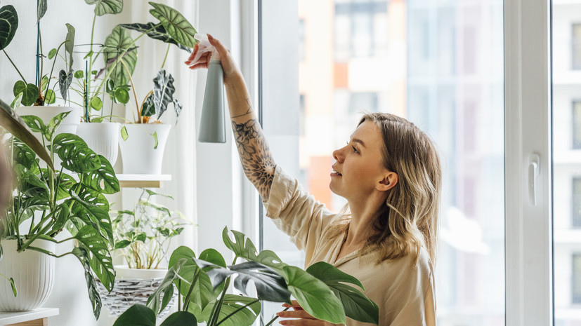 Агроном Терентьев: полив комнатных растений весной должен быть аккуратным