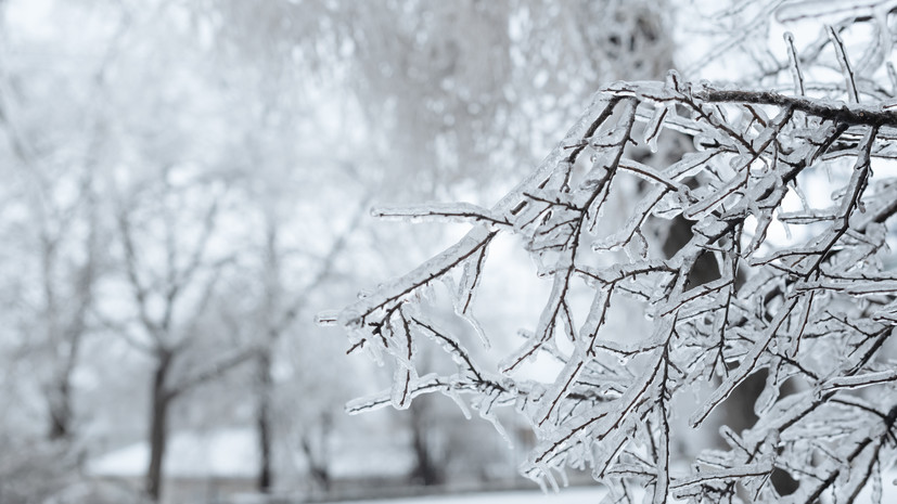 Синоптик Ильин: в понедельник в столичном регионе снова похолодает до -20 °С