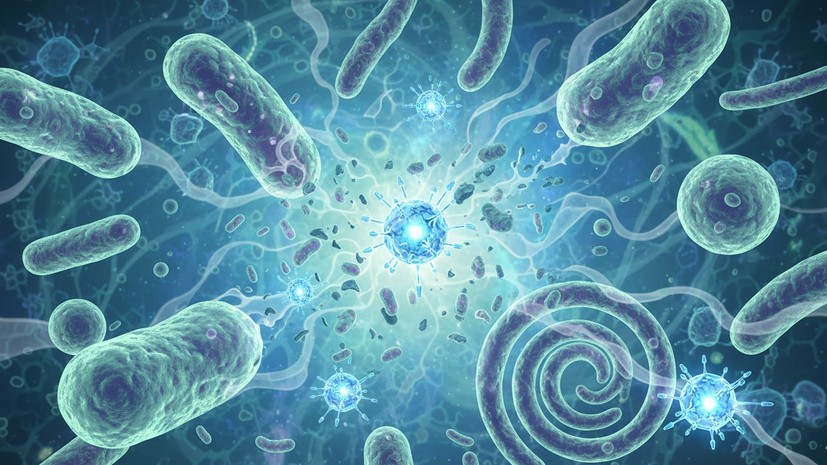 Врач Мясников: устойчивость бактерий к антибиотикам — глобальная проблема