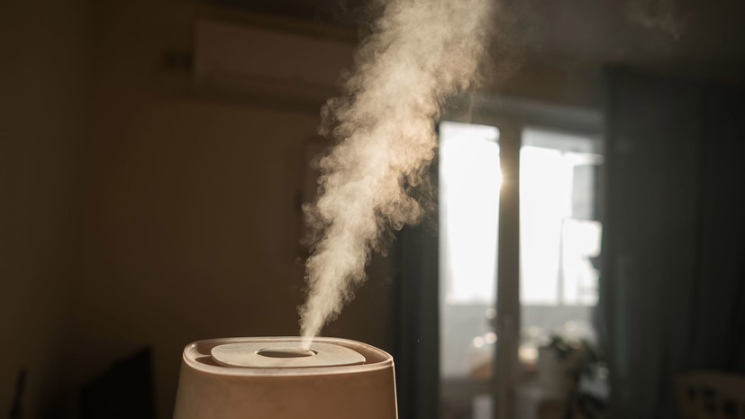 Врач Ярцева объяснила, почему сухой воздух в квартире опасен для здоровья