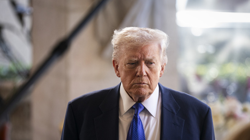 Хакаби: Совет мира может стать для Трампа проектом после президентства