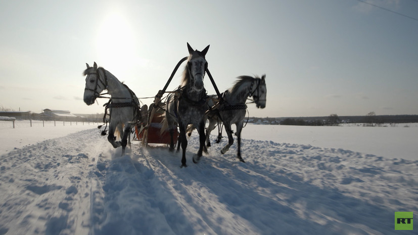 &laquo;Достояние, наследие, традиция&raquo;: как русская тройка стала национальным видом спорта России