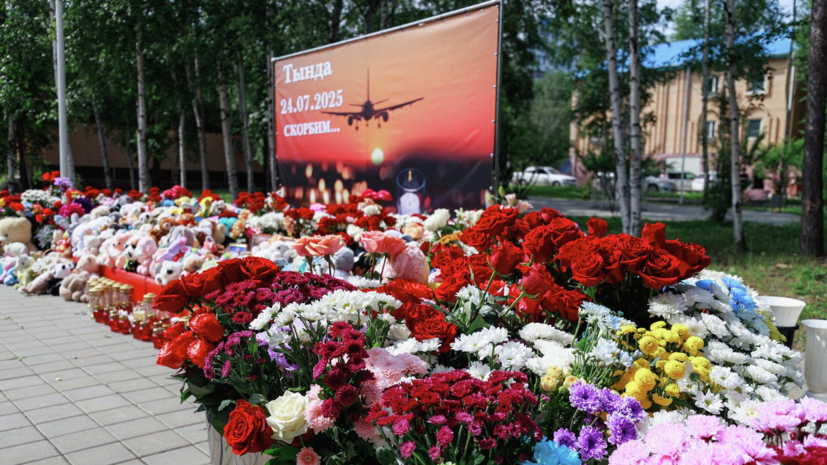 МАК: ошибки экипажа и авиадиспетчера привели к авиакатастрофе с Ан-24 под Тындой