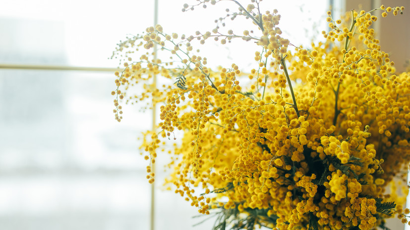 Врач Болибок назвал цветы, которые чаще провоцируют аллергию