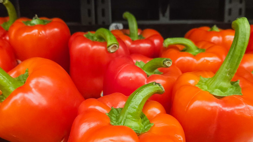 Гастроэнтеролог: шиповник и сладкий перец содержат больше всего витамина С