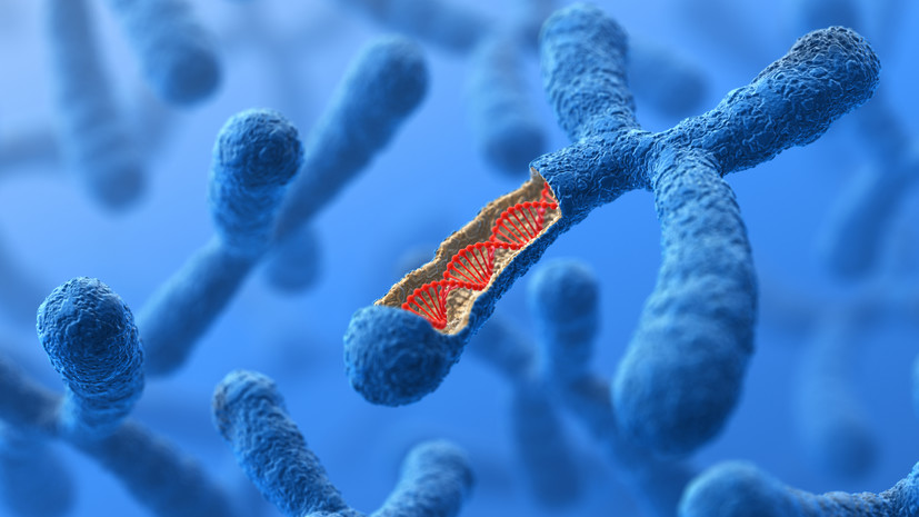 «Повышает шанс рождения здорового ребёнка»: генетик — о современной медицине и скрытых хромосомных аномалиях