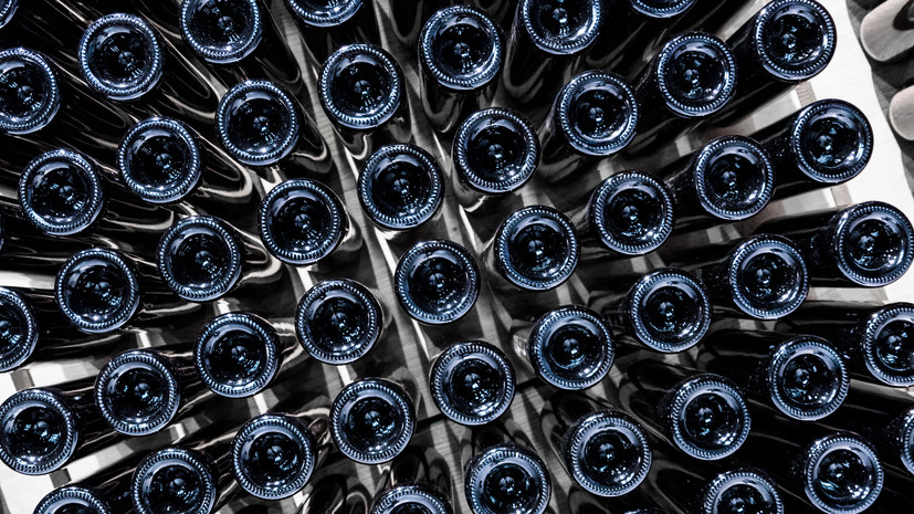 В Тюменской области готовятся получить урожай для тестовой партии местного вина