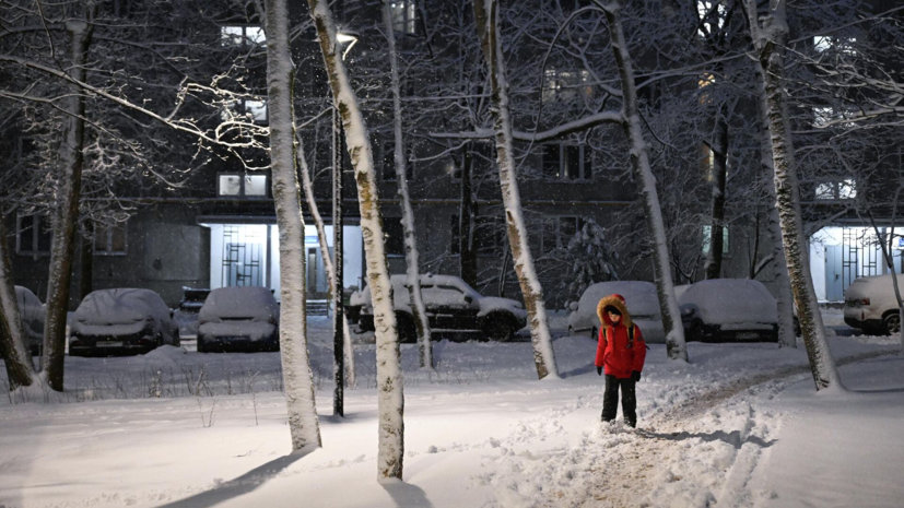 Эколог Рыбальченко рассказал о причинах непредсказуемой зимней погоды