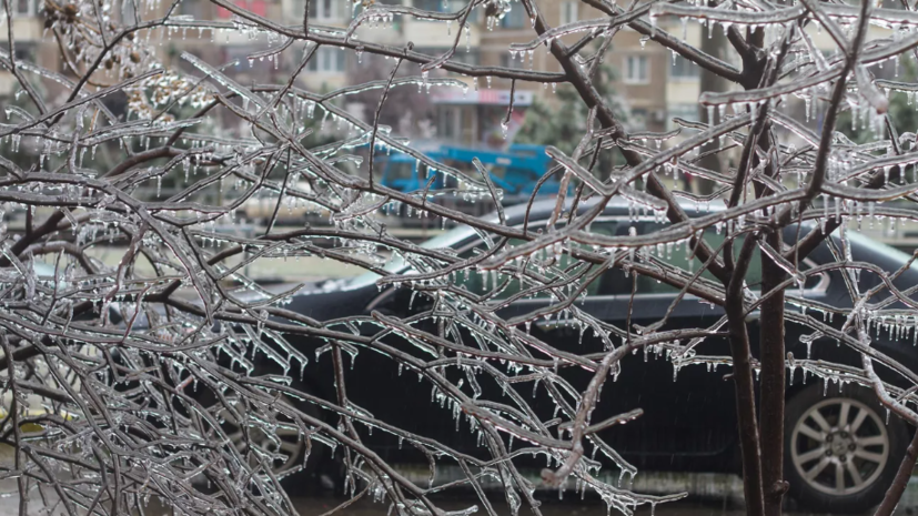 Синоптик Позднякова предупредила о ледяных дождях в Москве