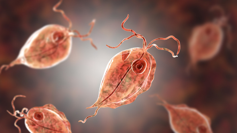 В Алтайском крае у 11 детей из центра для лиц с ОВЗ выявили кишечную инфекцию