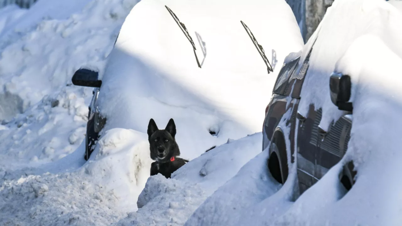 Станция «Восток» зафиксировала самый сильный мороз на Земле
