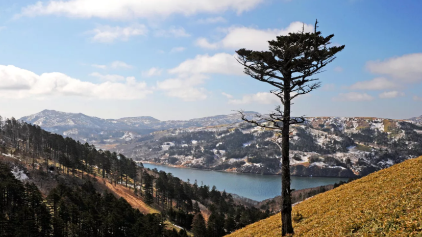 Три землетрясения произошли у побережья Курильских островов