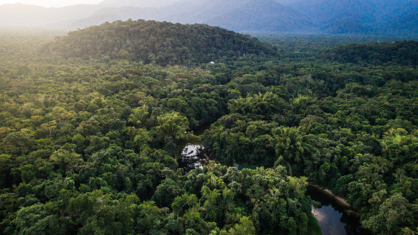 Мегаполисы, изолированные племена и многополярная внешняя политика: Бразилия в современном мире