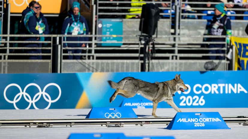 Собака выбежала на лыжню в женском спринте на ОИ-2026 и пересекла финишную ленту