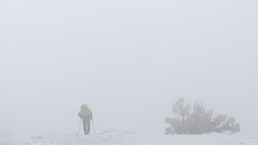 Из-за схода лавины в горах Калифорнии погибли восемь лыжников