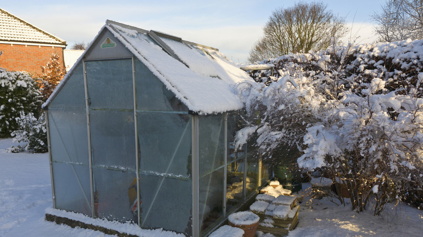 Биолог Воробьёв: садоводам пора съездить на дачу для очистки теплиц от снега