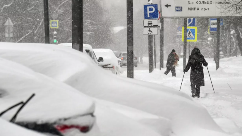 Климатолог Кокорин: в Москве зимние осадки увеличатся на 30% к концу века