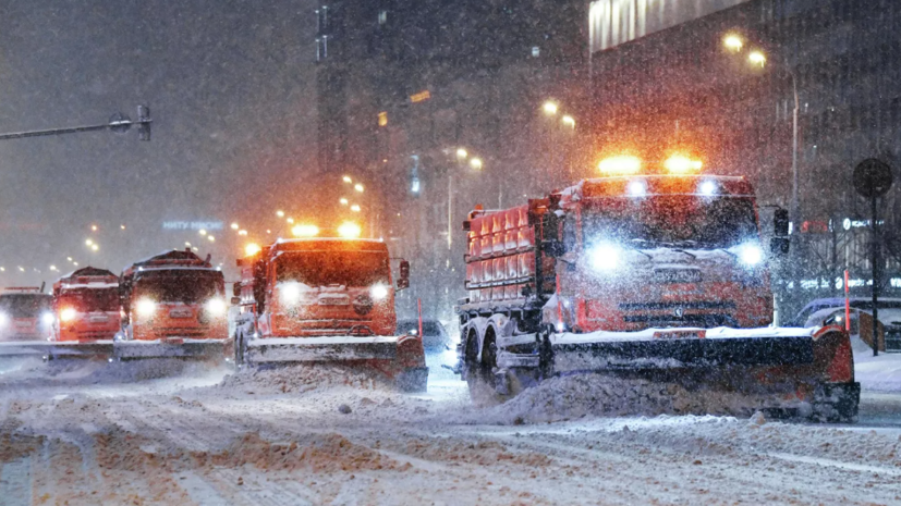 Климатолог Петров: снегопад в Москве — обычное зимнее явление