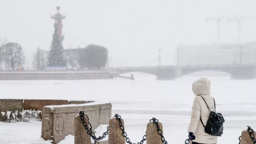 Синоптик Леус предупредил о снегопаде в Петербурге 20 февраля