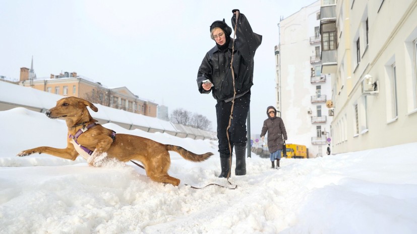 Высота снежного покрова в Москве стала рекордной за 72 года метеонаблюдений