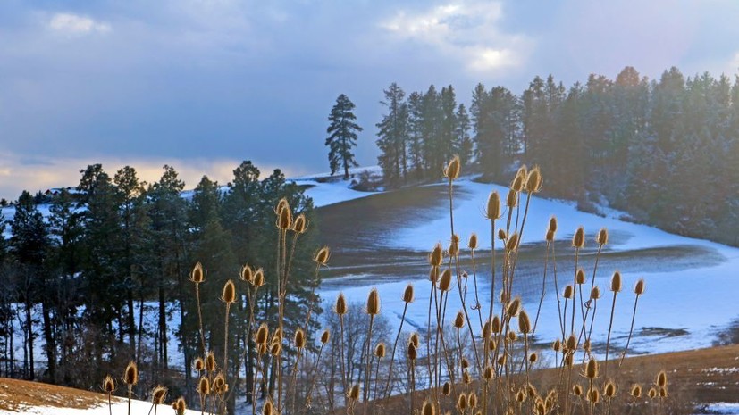 Синоптик спрогнозировала оттепель в Москве 23 февраля