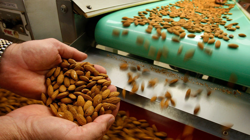 США в 2025 году нарастили экспорт миндаля в Россию до максимума за три года
