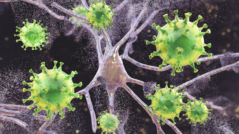 Россиянам рассказали об опасности энцефалита