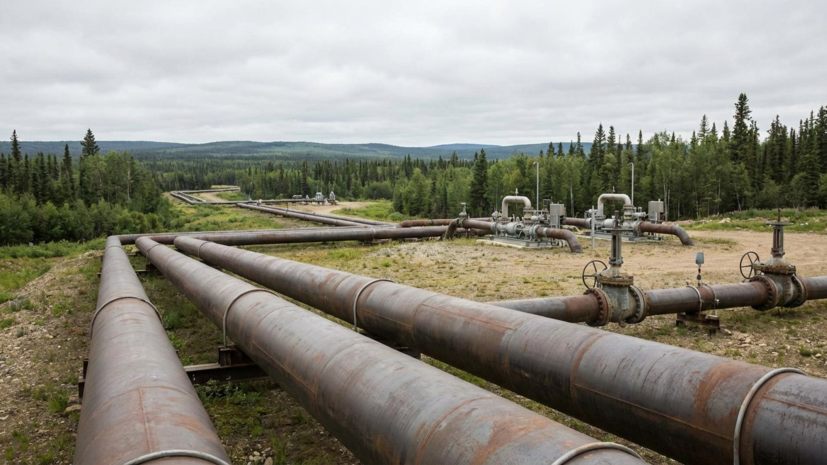 В ЕК попросили Украину ускорить поставки нефти из России по «Дружбе»