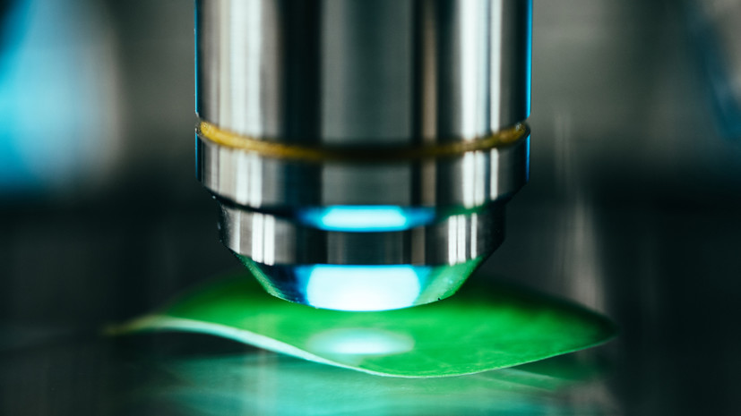 Путин оценил достижения России в сфере биоэкономики