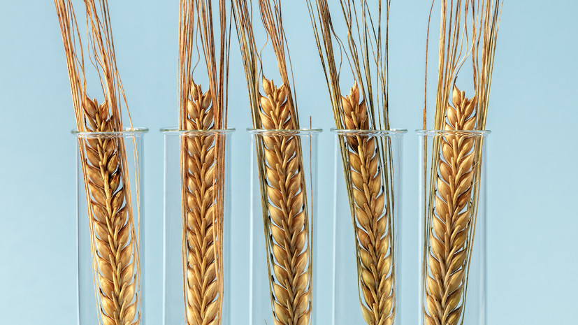 Путин заявил о стратегической роли биоэкономики для России