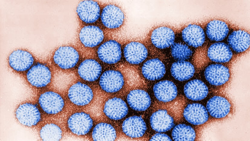 Инфекционист: ротавирус может сохраняться на различных поверхностях до двух месяцев