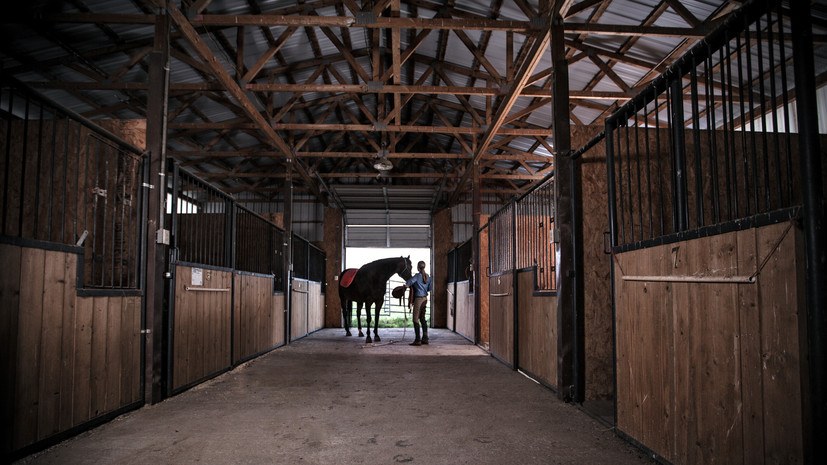 В двух сёлах Алтайского края ввели карантин из-за инфекционной анемии лошадей