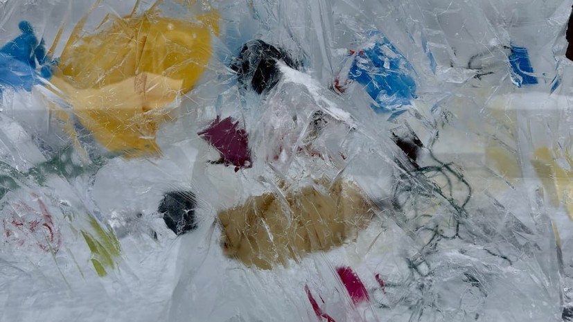 В Москве ко Дню Арктики открыли ледяной арт-объект