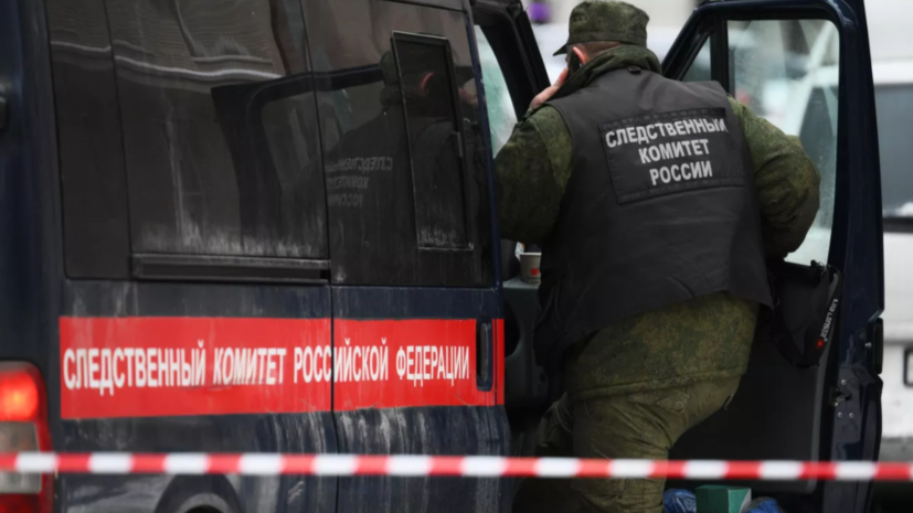 СК возбудил дело в отношении сожительницы похитителя девочки в Смоленске