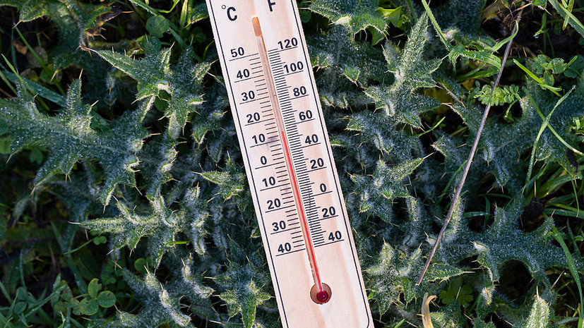 Климатолог Пестрякова: этим летом в России возможны температурные качели