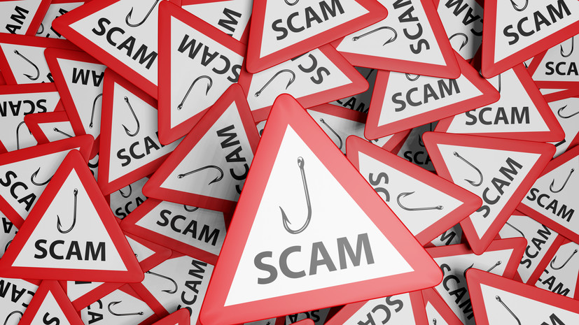 Россиян предупредили о схемах с поддельными сайтами для поиска работы