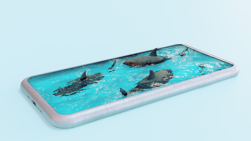 Киберэксперт объяснил, чем опасно длительное неиспользование номера