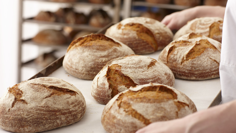 Агроэксперт Березнюк назвал обновление стандарта на хлеб необходимым шагом