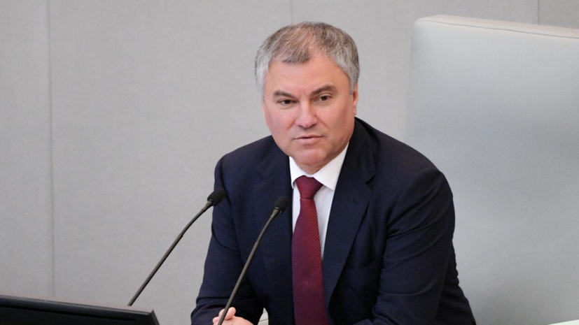 Володин направил в ГД проект об отказе в гражданстве мигрантам с судимостью