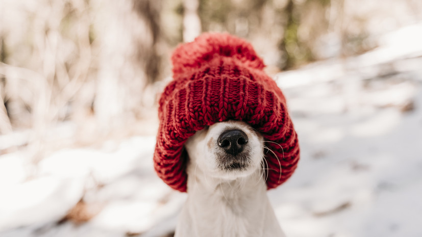 Врач Демьяновская рассказала, когда весной можно снять шапку