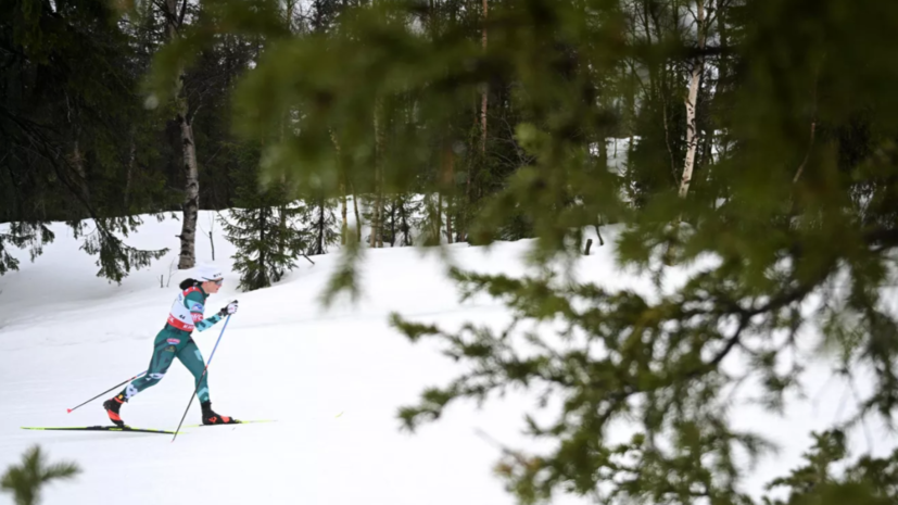 Две лыжницы на чемпионате России упали из-за выбежавшей на трассу собаки