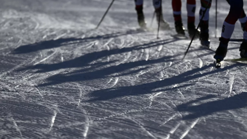 Кусургашева — о столкновении с собакой: хоть не медведь выбежал
