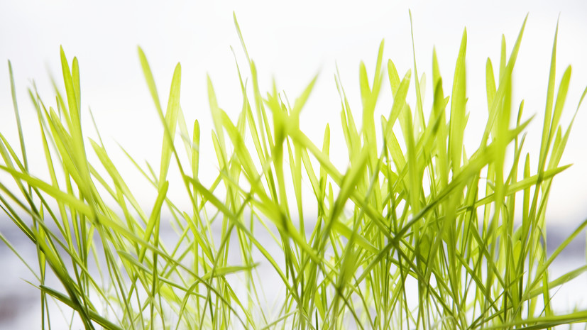 Синоптик Варакин спрогнозировал стремительное потепление в Москве